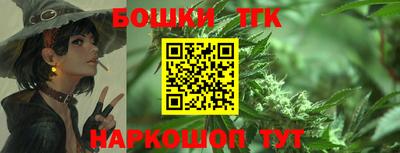 МДПВ Гатчина