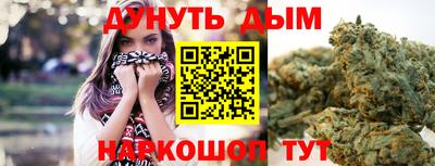 МДПВ Гатчина