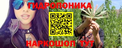 МДПВ Гатчина