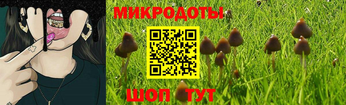 Канск  дарнет шоп  Вход с VPN  Псилоцибиновые грибы Psilocybine cubensis 