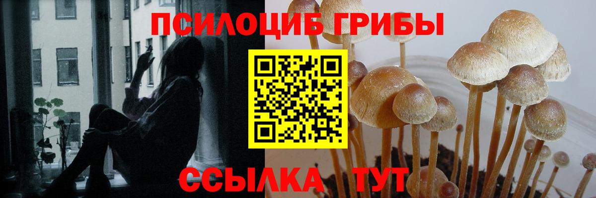 Галлюциногенные грибы GOLDEN TEACHER Канск