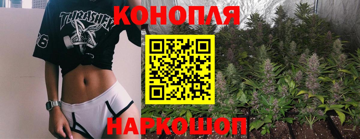 Конопля семена  МАРИХУАНА планчик  Марихуана индика  Канск  Вход с VPN 